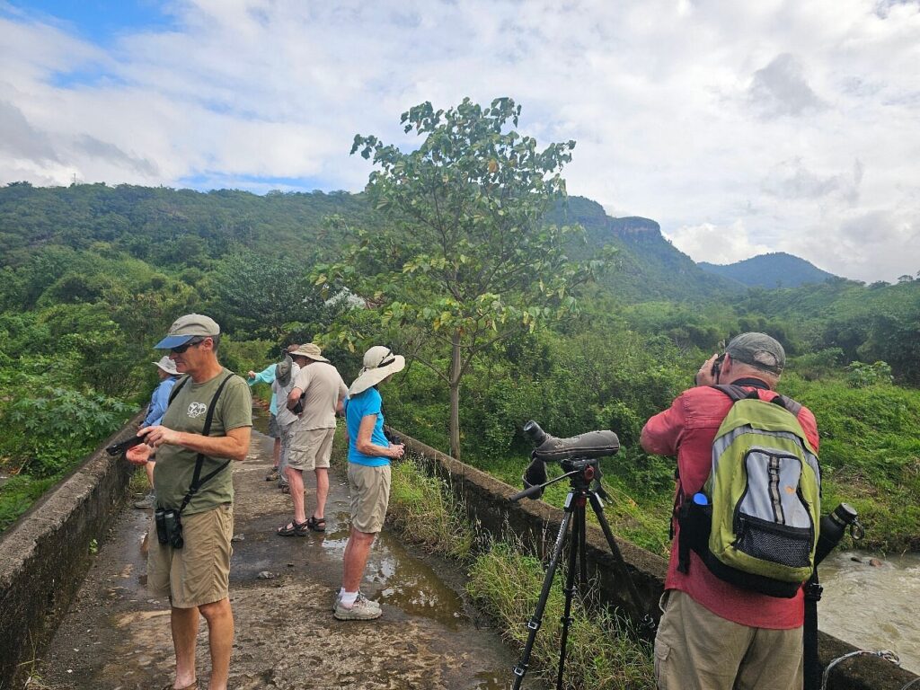 Dominica Travel Guide and Tips